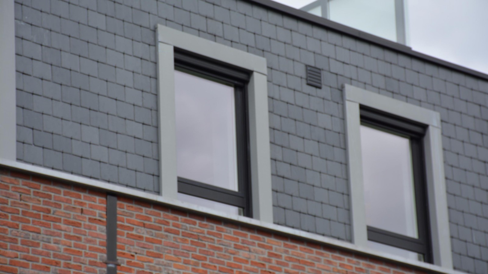 dakwerken taliman - gevelbekleding