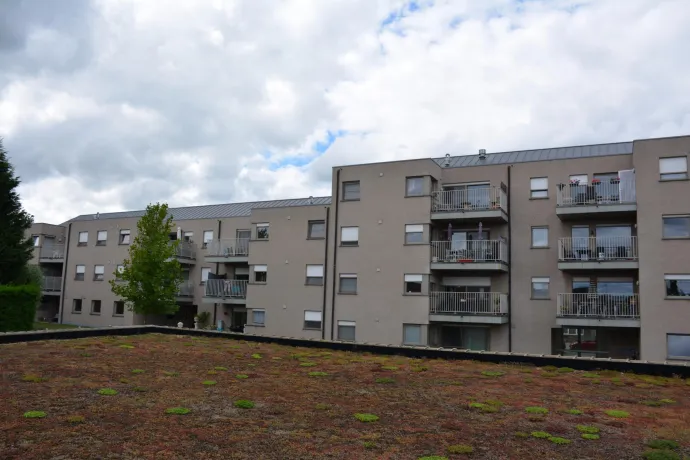 Dakwerken taliman - moderne daken