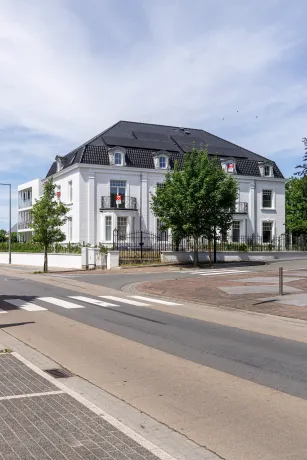 Dakrenovatie hellend/plat dak met zink- en koperwerk