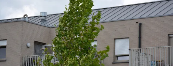 Dakwerken taliman - moderne daken